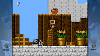 Disney Afternoon Collection, The